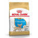 Royal Canin Chihuahua Junior - Farmacias Arrocha