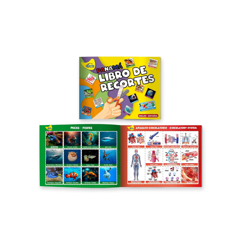 LIBRO DE RECORTES ESPAÑOL INGLES - Farmacias Arrocha