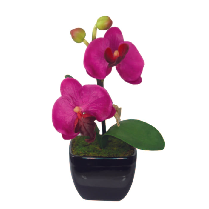 Aria Planta Artificial Pote Negro - Farmacias Arrocha