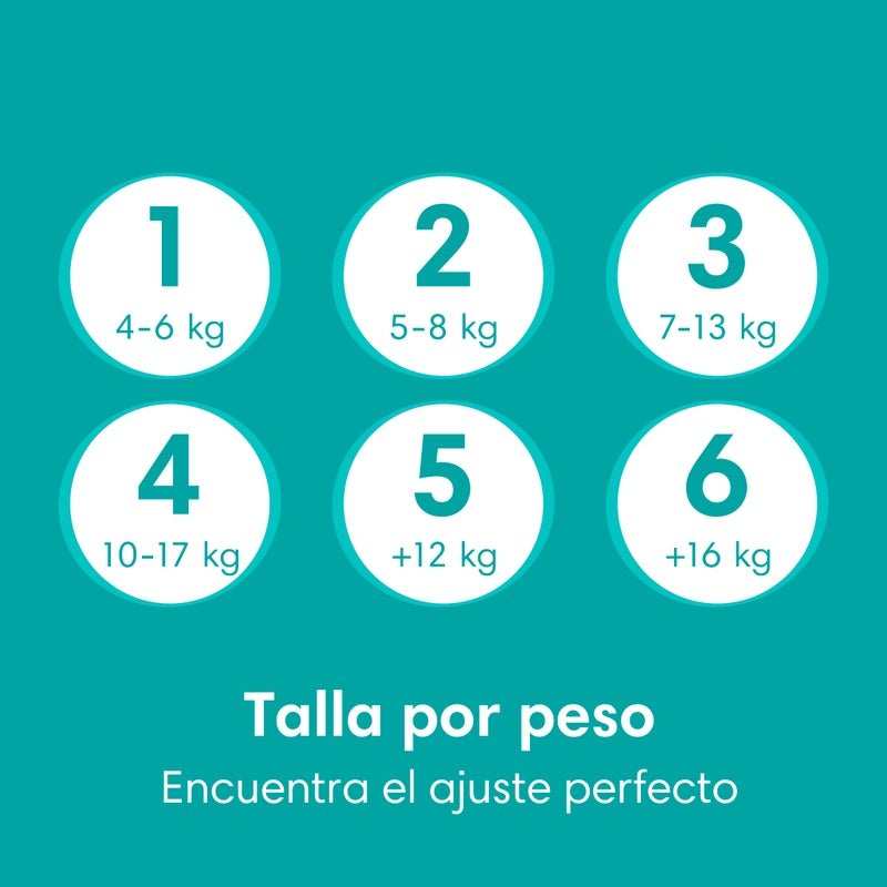 Pañales Pampers Baby Dry Talla 2, 56 unidades - Farmacias Arrocha