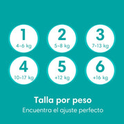 Pañales Pampers Baby Dry Talla 4, 46 unidades - Farmacias Arrocha