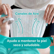 Pañales Pampers Baby Dry Talla 4, 46 unidades - Farmacias Arrocha