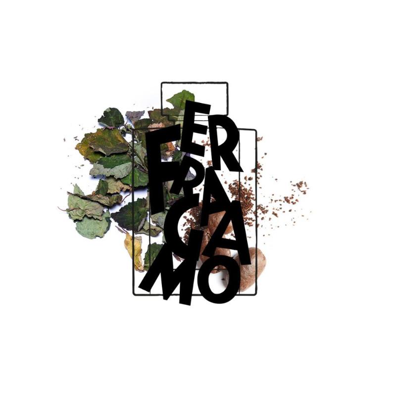 Ferragamo Uomo Signature Edp - Farmacias Arrocha