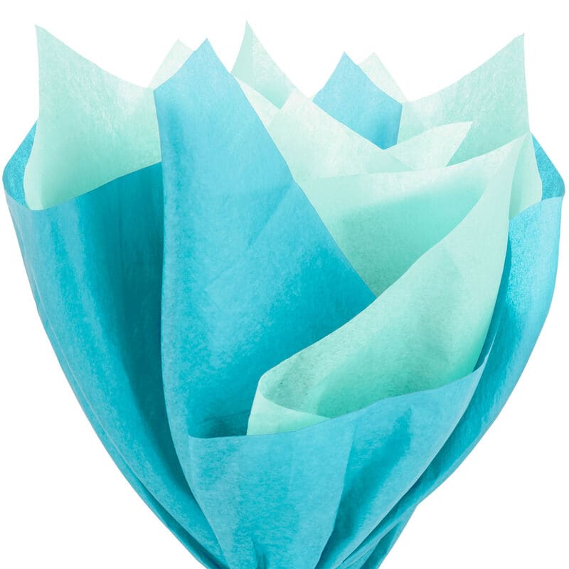 Hallmark Papel Tissue Set de 2 Colores Turquesa/Verde Menta 6U - Farmacias Arrocha