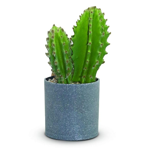 Aria Cactus Decorativos - Farmacias Arrocha