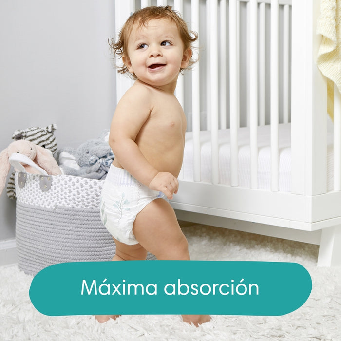 Pañales Pampers Premium Care Pants Talla M, 34 unidades