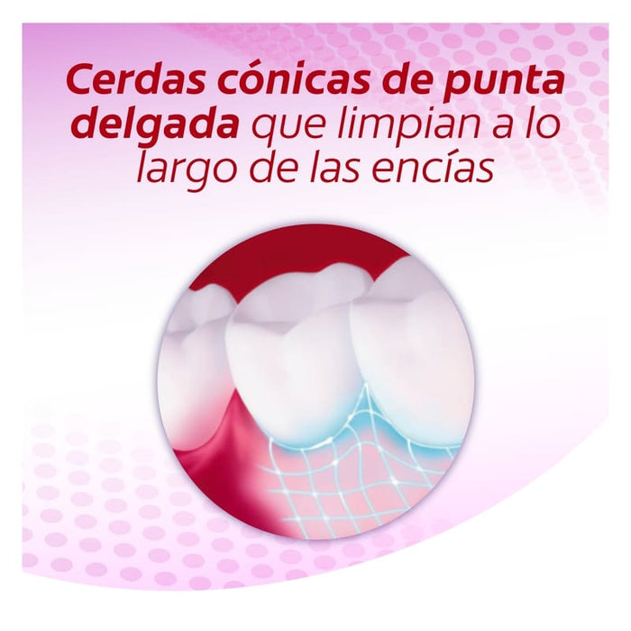 Cepillo Dental Colgate Encías Therapy 2 Pack