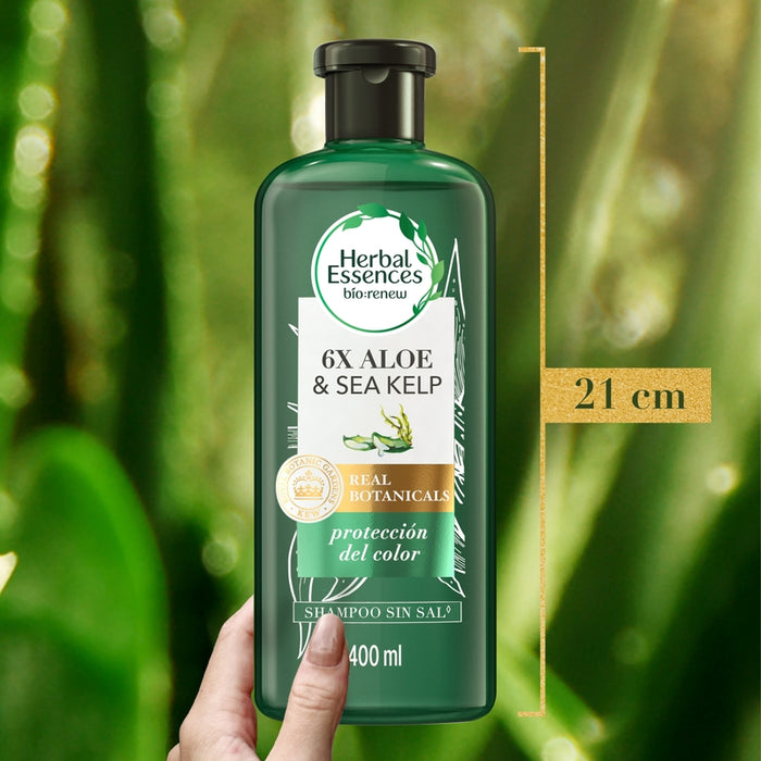 Shampoo Herbal Essences Bio:renew 6x Aloe & Sea Kelp Protección Del Color 400 ml