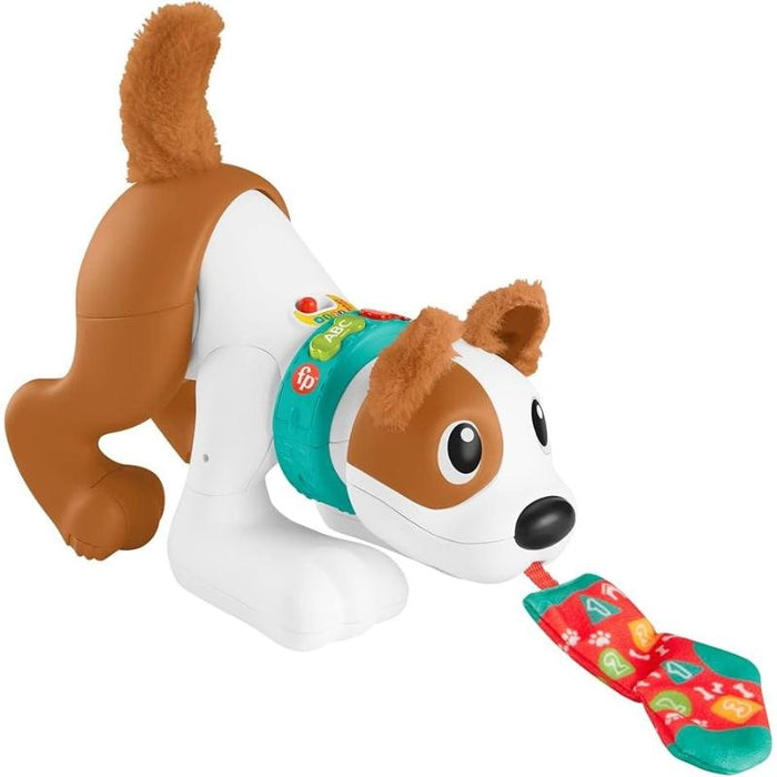 Fisher Price Cachorro Gatea Conmigo