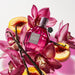 Viktor & Rolf Flowerbomb Ruby Orchid EDP 100 Ml Combo Exlusivo Web - Farmacias Arrocha