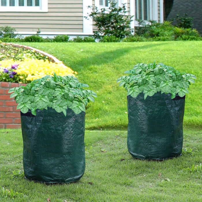 Set de 2 Bolsas Para Cultivo De Plantas - Farmacias Arrocha