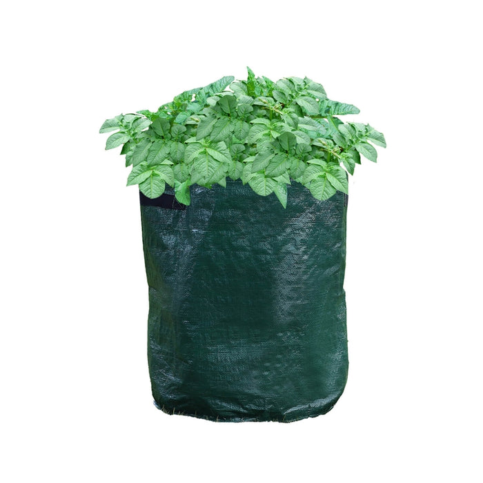 Set de 2 Bolsas Para Cultivo De Plantas - Farmacias Arrocha