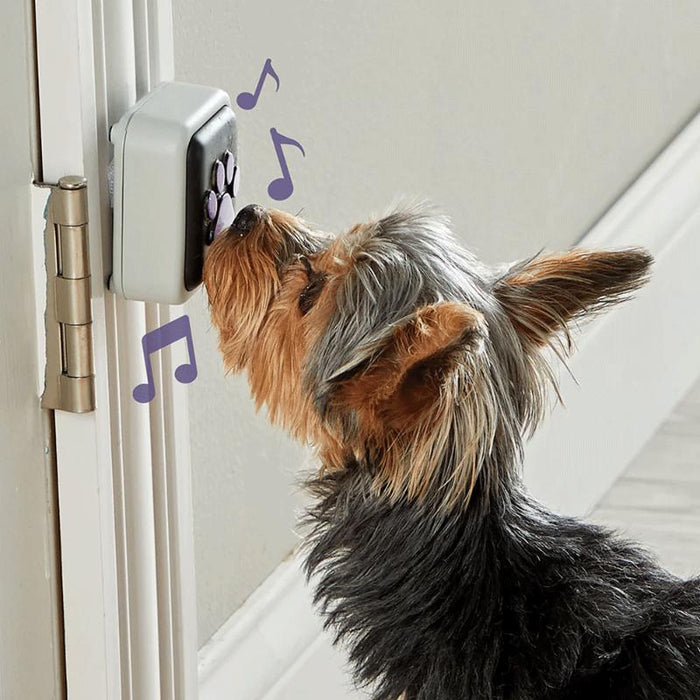 Brightkins Talking Pet: Timbre para la Puerta