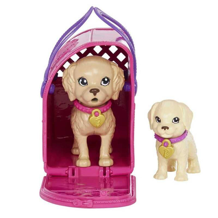 Barbie Set Adopta Un Perrito - Farmacias Arrocha