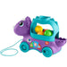 Fisher Price Dino Pelotitas Divertidas - Farmacias Arrocha