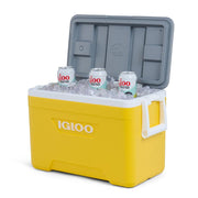 Igloo Hielera Con Tapa 25Qt - Farmacias Arrocha