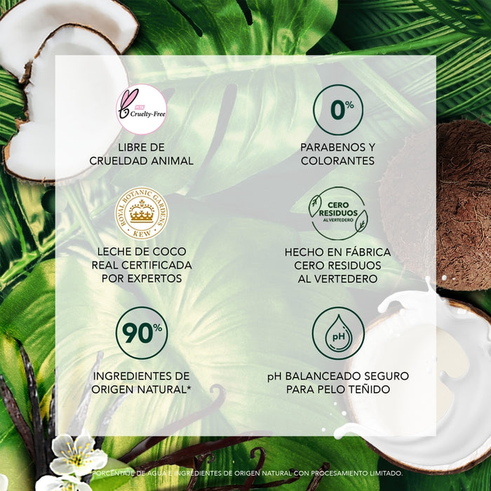 Shampoo Herbal Essences Bío:renew Coconut Milk 245 ml