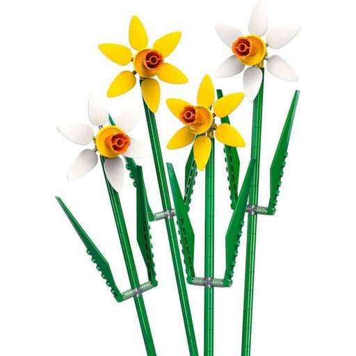 Lego Flores Narcisos De Celebración Amarillas Y Blancas - Farmacias Arrocha