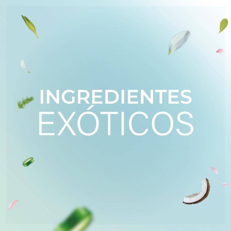 Terre De Vie Shampoo Aloe Vera Revitalizante 400Ml - Farmacias Arrocha