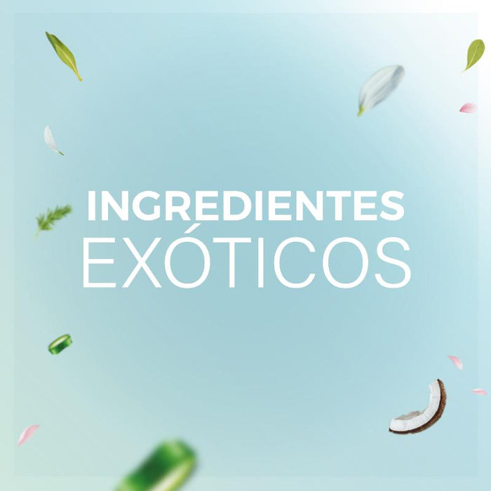 Terre De Vie Acondicionador Coco Extra Hidratante 400Ml