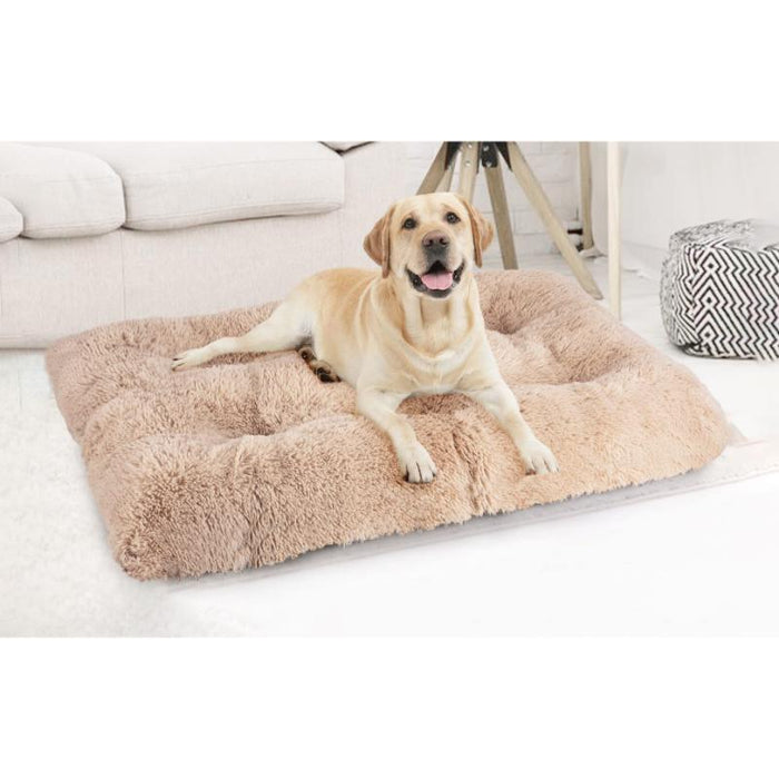 Cama Para Perro Rectangular Crema