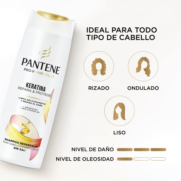 Shampoo Reparador Pantene Pro-v Miracles Keratina Repara Y Protege 300 ml