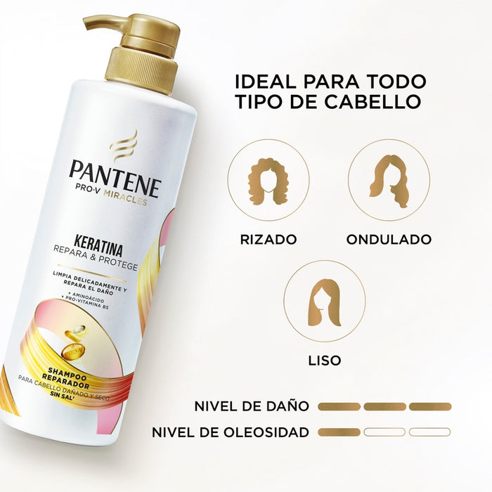 Shampoo Reparador Pantene Pro-v Miracles Keratina Repara Y Protege 510 ml