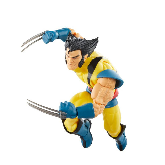 Hasbro Fans Marvel Legends Wolverine