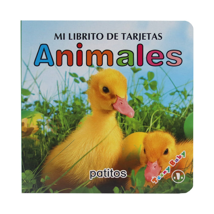 Mi Libro De Tarjetas