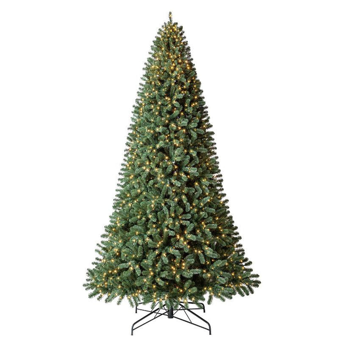 Arbolito Con Luces 12' Clifton Fir