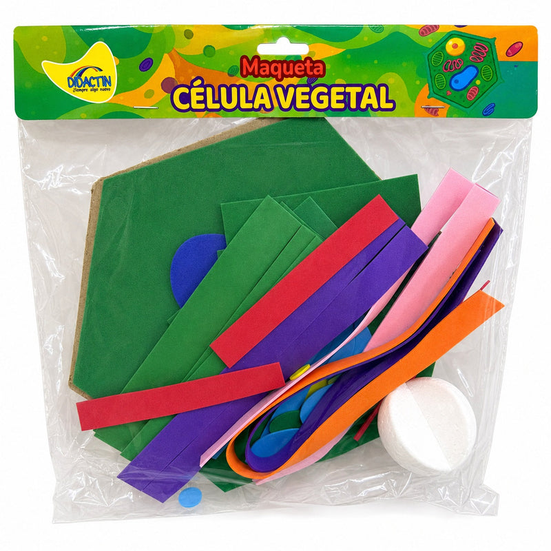 MAQUETA CÉLULA VEGETAL