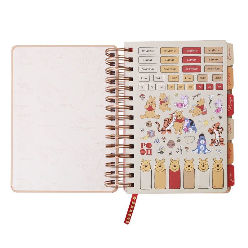 Agenda 14X20 Dxp Winnie The Pooh