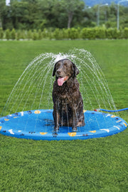 Alfombra de Agua para Mascotas Fetchin' Fun - Farmacias Arrocha