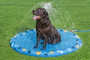 Alfombra de Agua para Mascotas Fetchin' Fun - Farmacias Arrocha