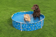 Piscina de Juego para Mascotas Fetchin' Fun - Farmacias Arrocha