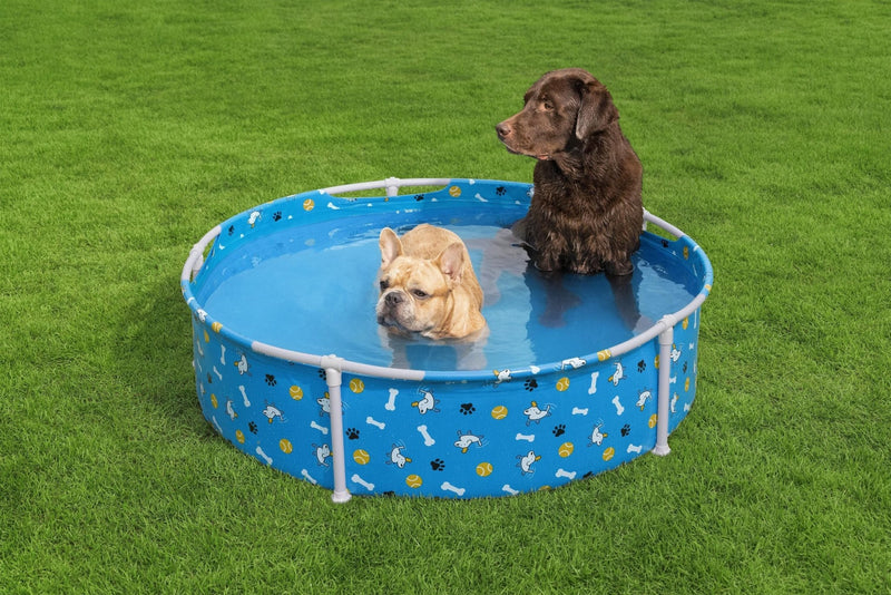Piscina de Juego para Mascotas Fetchin' Fun - Farmacias Arrocha