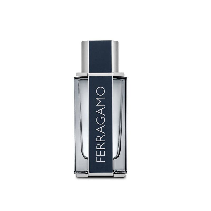Ferragamo Men Eau de Toilette 100ml - Farmacias Arrocha
