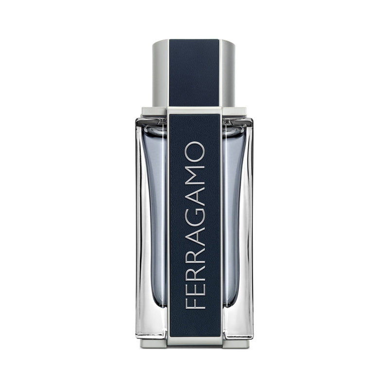 Ferragamo Men Eau de Toilette 100ml - Farmacias Arrocha