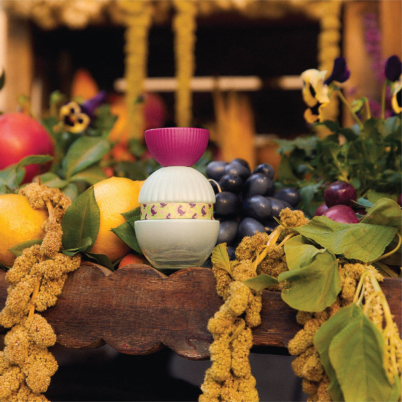 El Ganso Fun & Free EDP - Farmacias Arrocha