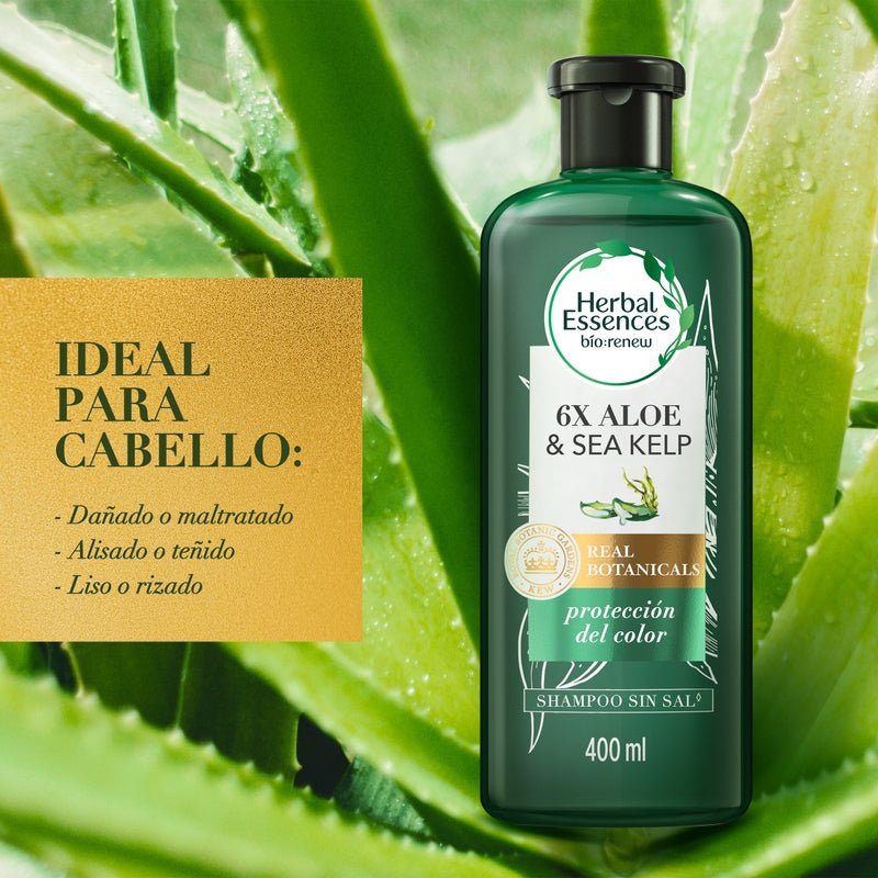 Shampoo Herbal Essences Bio:renew 6x Aloe & Sea Kelp Protección Del Color 400 ml - Farmacias Arrocha