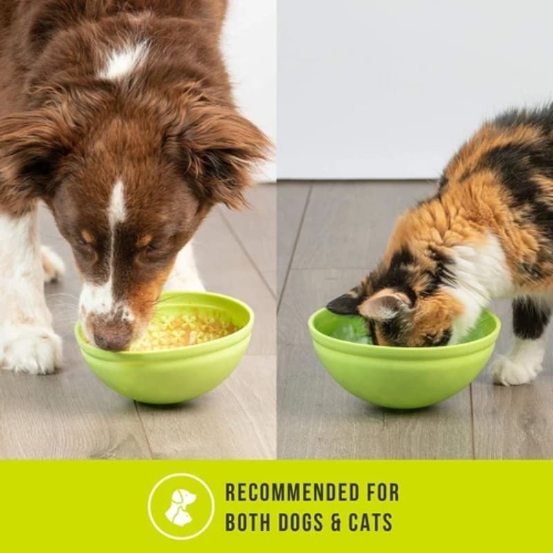 Pet Zone Tazón De Lamer De Alimentación Lenta - Farmacias Arrocha