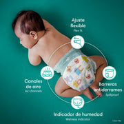 Pañales Pampers Baby Dry Talla 7, 54 unidades - Farmacias Arrocha