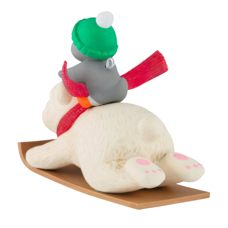 KPSK ORN SLEDDING SIDEKICKS 25 - Farmacias Arrocha