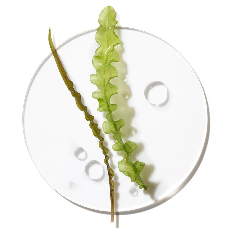 Clinique Base de Maquillaje Stay Matte™ Libre De Aceite 30 ml - Farmacias Arrocha