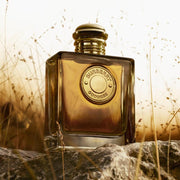 Burberry Goddess Parfum - Farmacias Arrocha
