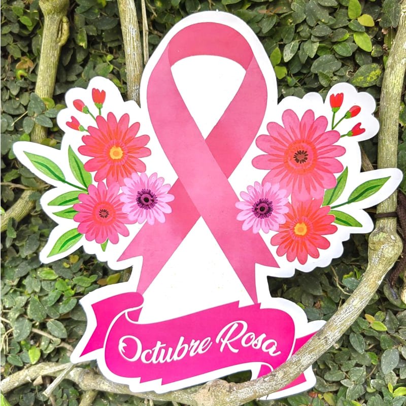 Didactin Movil Cinta Rosada Y Flores - Farmacias Arrocha