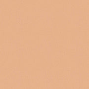 Clinique Polvo compacto Stay Matte™ 7.6 g - Farmacias Arrocha