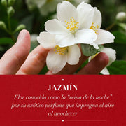 Espuma Modeladora Herbal Essences Cabello Rizo Jazmín 400 g (2 Unidades De 200 g) - Farmacias Arrocha