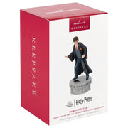 Kpsk Orn Harry Potter - Farmacias Arrocha