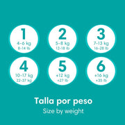 Pañales Pampers Baby Dry Talla 7, 54 unidades - Farmacias Arrocha